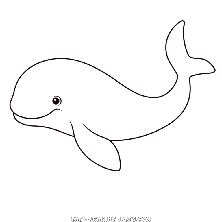 Beluga whale easy drawing | Easy Drawing Ideas