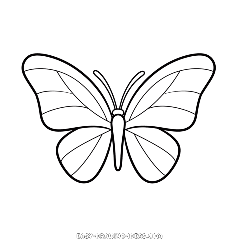 Butterfly easy drawing | Easy Drawing Ideas