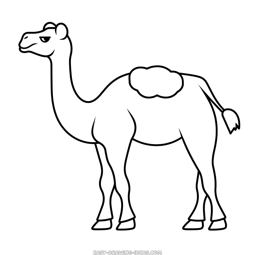 Premium Vector | Hand drawn camel