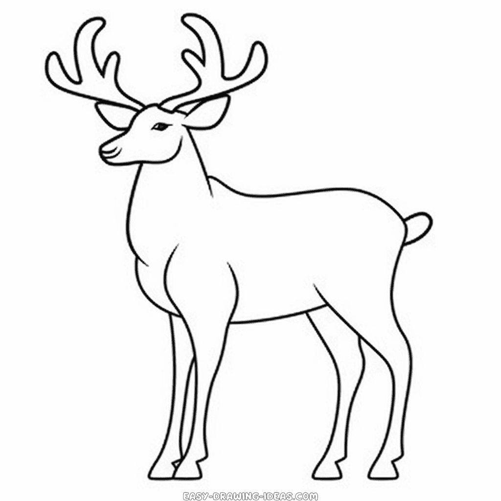 caribou easy drawing