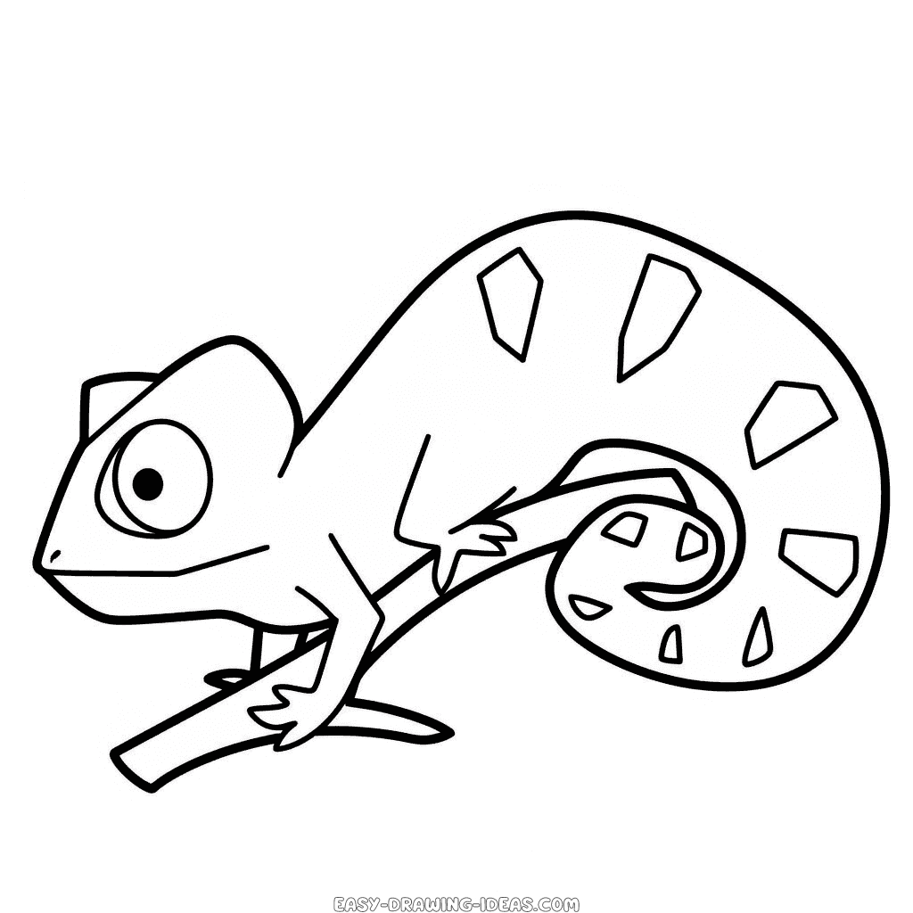 chameleon easy drawing