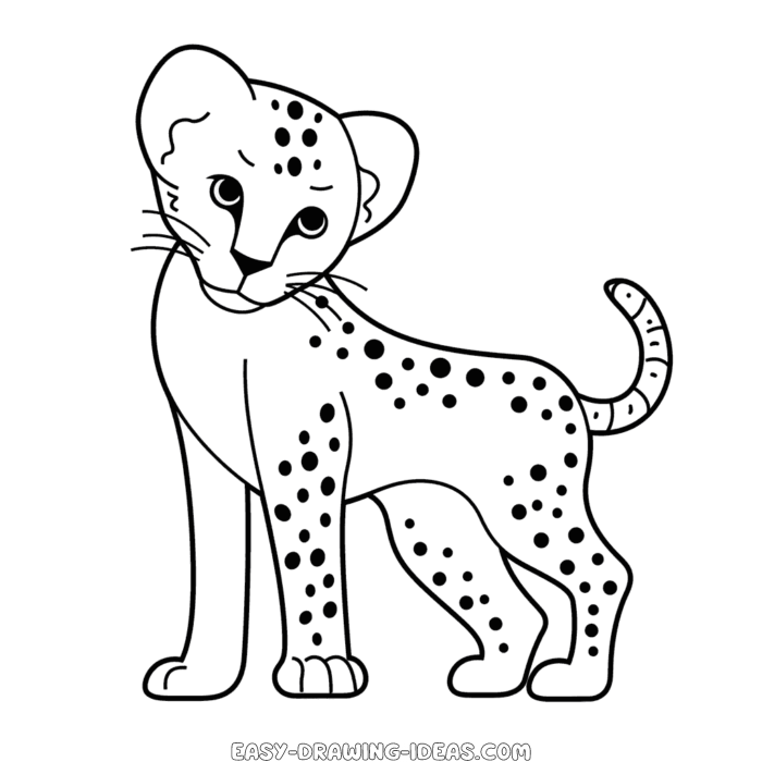 Cheetah easy drawing | Easy Drawing Ideas