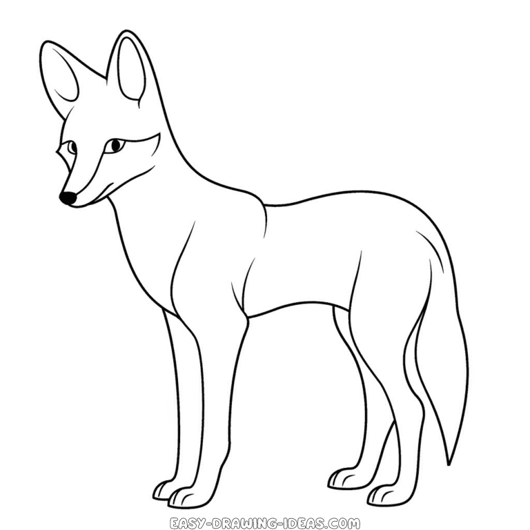 Coyote easy drawing | Easy Drawing Ideas