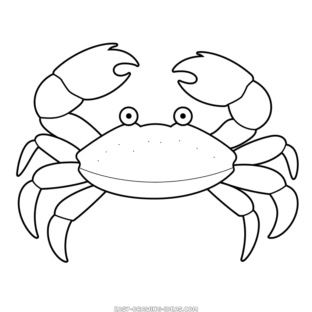 How to Draw a Hermit Crab for Kids (Animals for Kids) Step by Step |  DrawingTutorials101.com