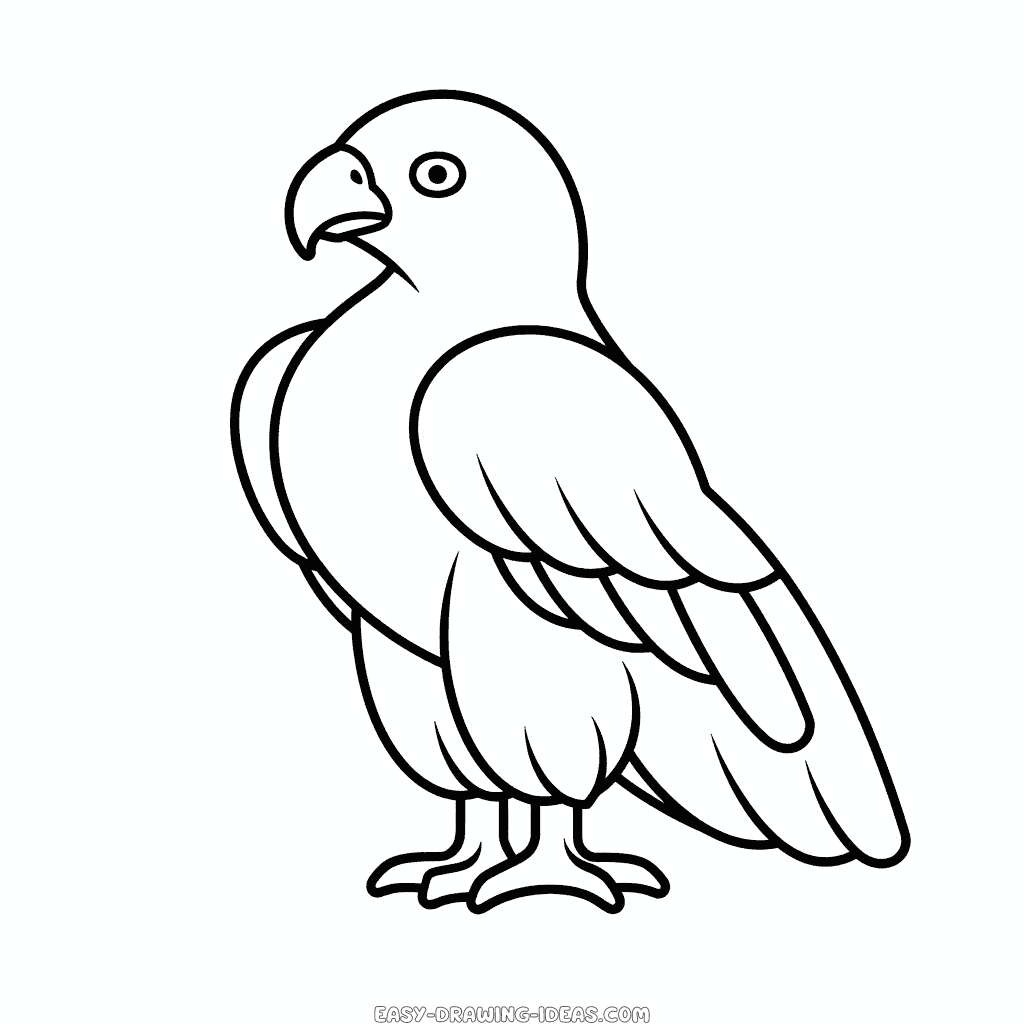 How to Draw a Bald Eagle Head | Bald Eagle Head Coloring Page