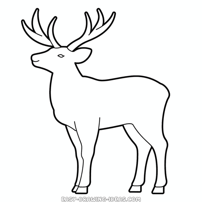 Elk easy drawing | Easy Drawing Ideas