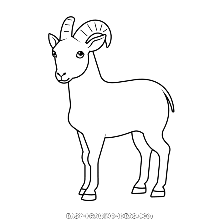 Goat easy drawing | Easy Drawing Ideas