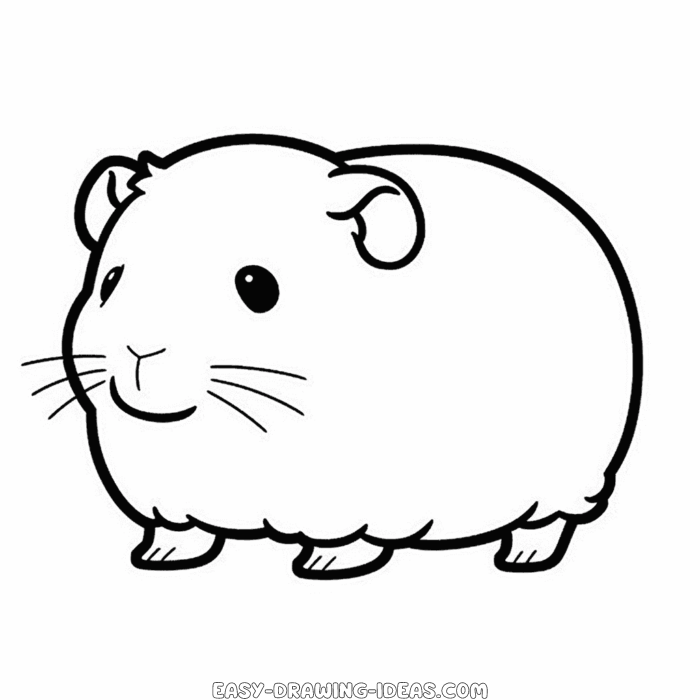 Guinea pig easy drawing | Easy Drawing Ideas