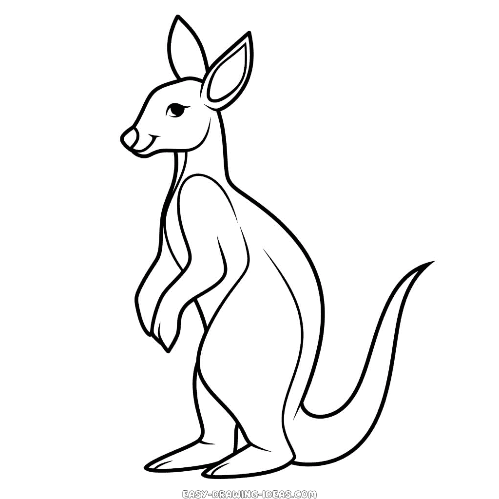 Kangaroo and squirrel: Drawing book for kids : pramanik, Mr Badal:  Amazon.sg: Books