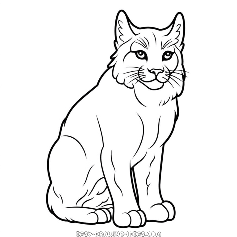 Lynx easy drawing | Easy Drawing Ideas