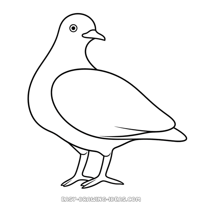 Pigeon easy drawing | Easy Drawing Ideas