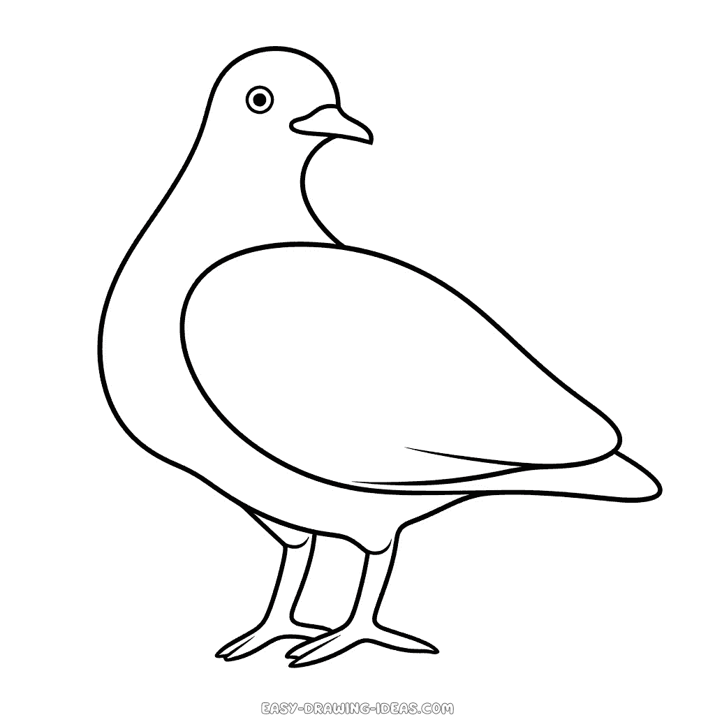 How To Draw A Easy Pigeon Step by Step for Beginners - YouTube