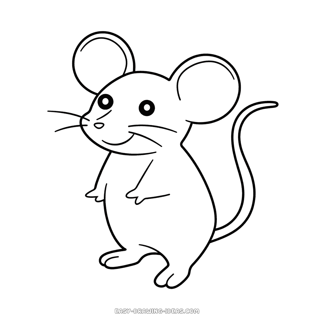 How to Draw A Rat Step by Step