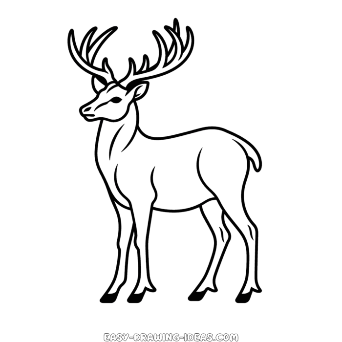 Red deer easy drawing | Easy Drawing Ideas