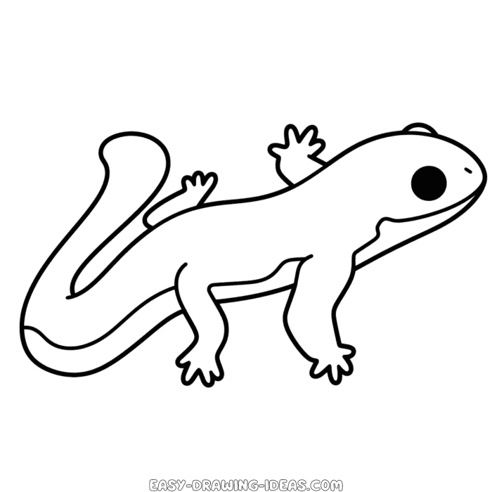 Salamander easy drawing | Easy Drawing Ideas