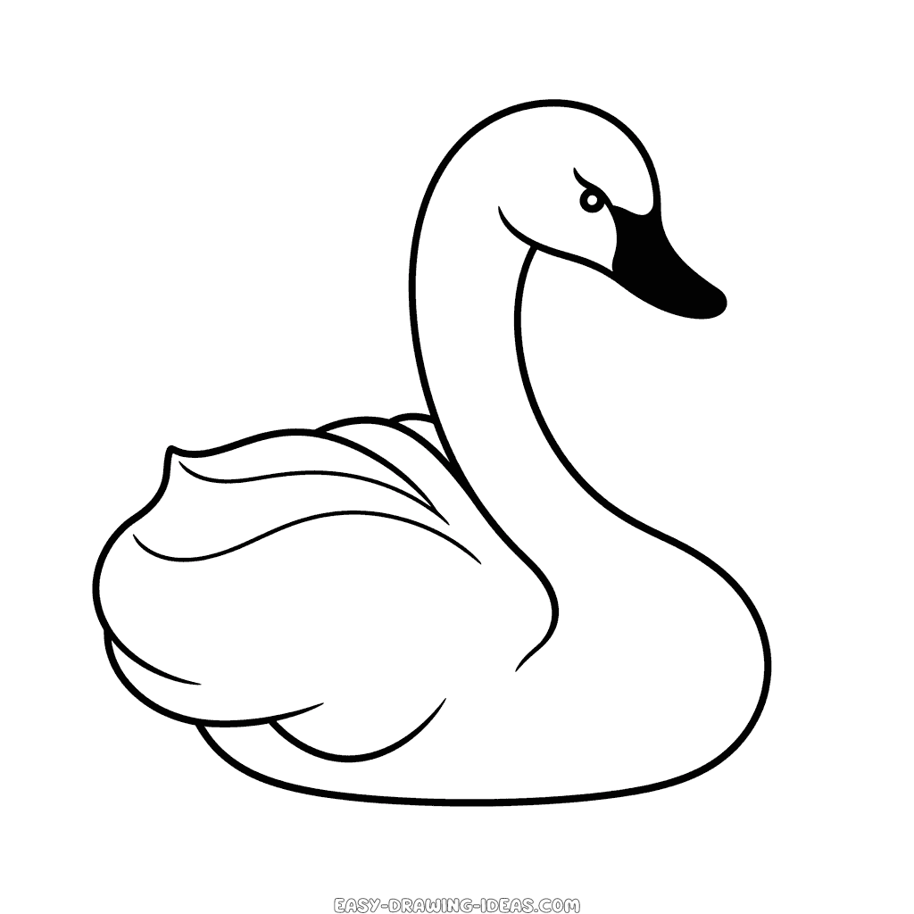 How To Draw Swan Step by Step - YouTube