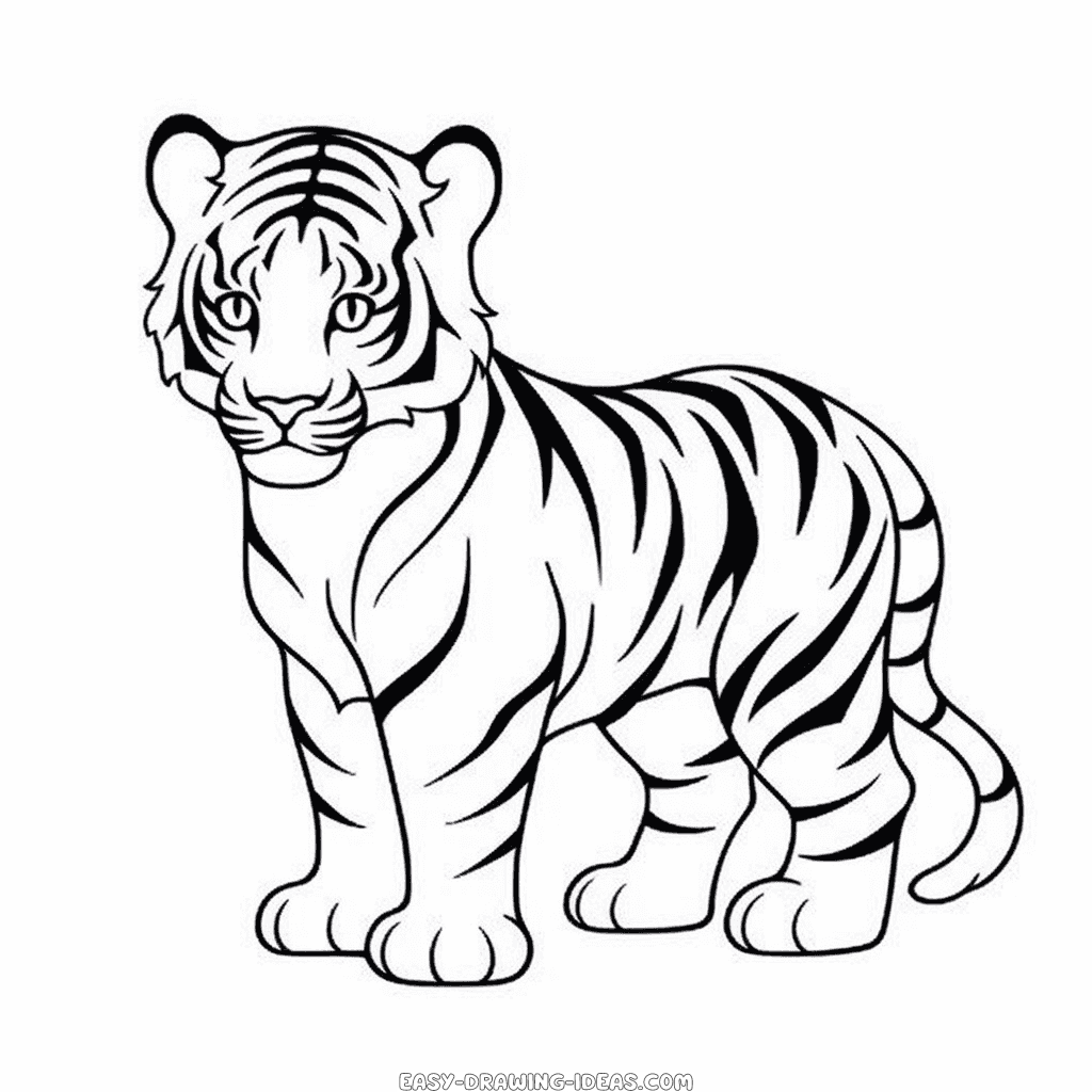 Tiger easy drawing | Easy Drawing Ideas