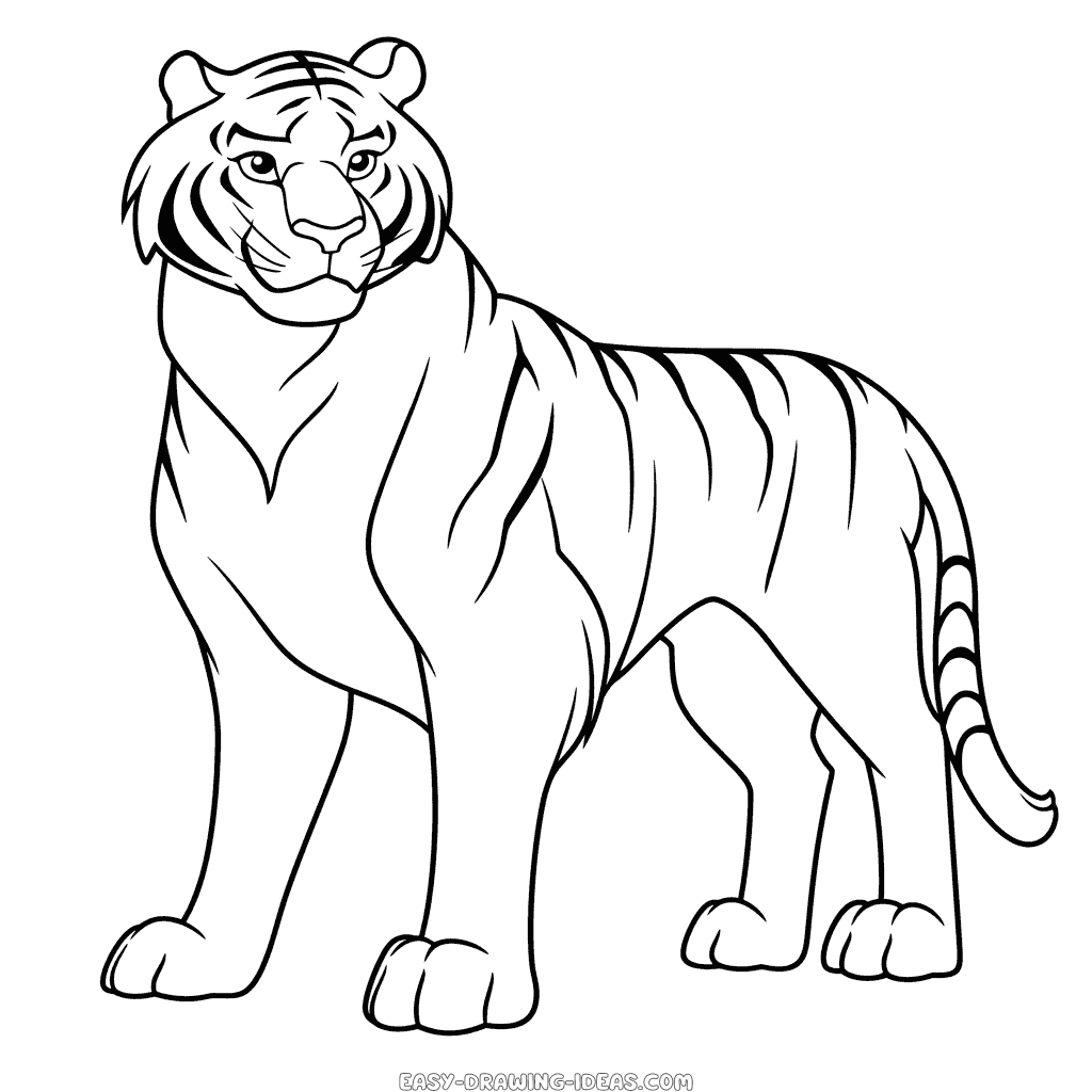 How to draw a tiger standing - YouTube